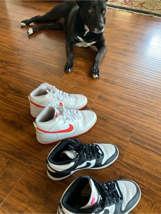 Nike Other - Nike High-Top Sneakers in White/Orange and Panda